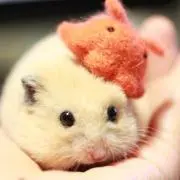 おんおん ✩プロフ必読✩