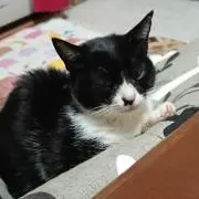 ゆかの画像
