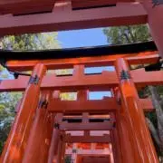 ローズ(プロフィール必読‼︎）の画像
