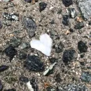甘えん坊主