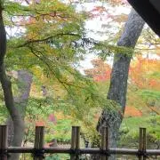 haruの画像
