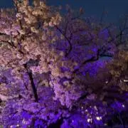 パンうどんの画像