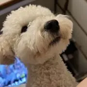 ももの画像