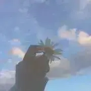 こうめの画像