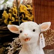 サリーの画像