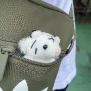 しらたまの画像
