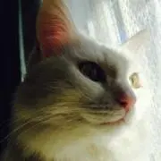 RMの画像
