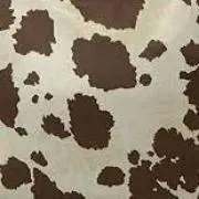 あいの画像