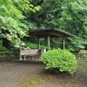 アラムライ