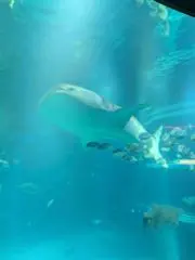ro*na73　※※プロフ必読です※※の画像