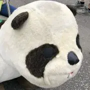 Mm