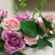 チェリーブラッサム✨の画像