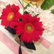 なつの画像