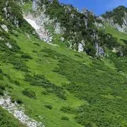 Natureの画像