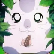 いぬの画像