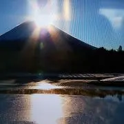 はぶたるのもち