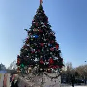 なるはやで発送しますの画像