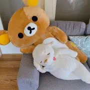 ちょっぺーの画像
