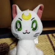 アルテミス（プロフ見てね）の画像