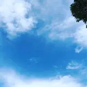 たんぽぽはなの画像