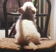 まいケル♥の画像