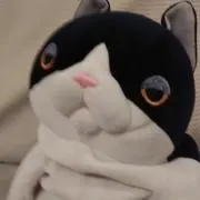 りょうの画像