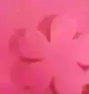 Prichu♪の画像