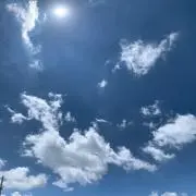 Saccoの画像