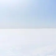 なぽの画像