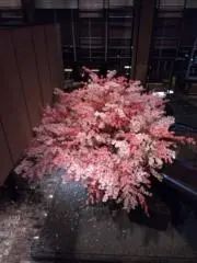 まんまるの画像