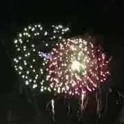 メルシーの画像