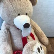 ひなの画像
