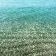 ruの画像