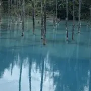 ももの画像