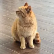binの画像