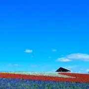 わらわらの画像