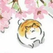 ぴのっち