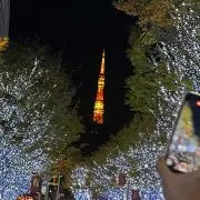 ぷないの画像