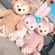 RNの画像