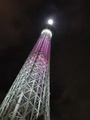 S【プロフ確認お願いします】の画像