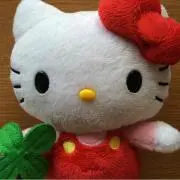 キママ⭐︎