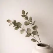 佐藤の画像