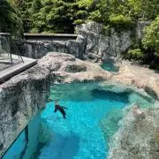 kazの画像