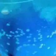 ぞんびの画像