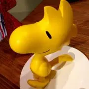 cottonの画像