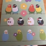 めろんぱんだの画像