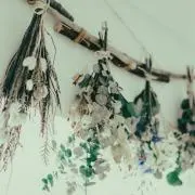 RITAの画像