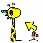 タコッケーの画像