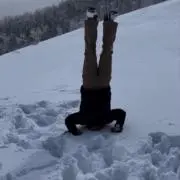 あんそにーの画像