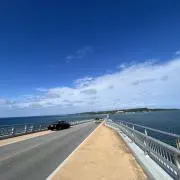 イカ太郎の画像